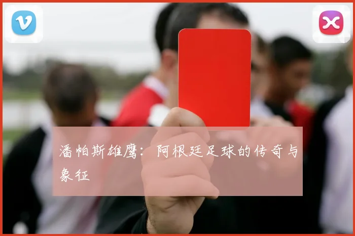 潘帕斯雄鹰：阿根廷足球的传奇与象征